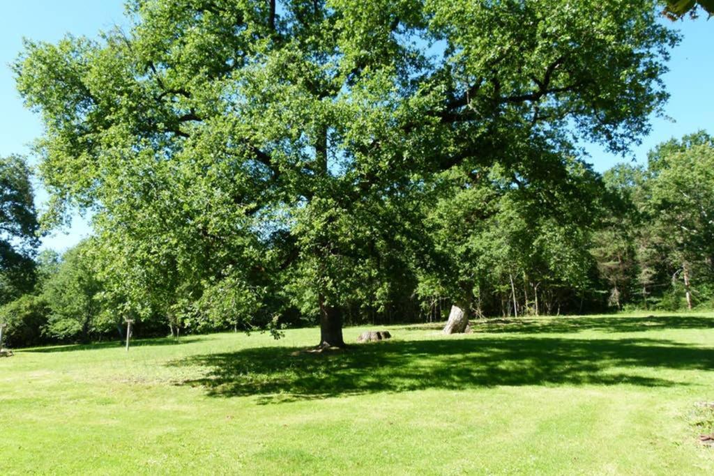 Gite En Brenne Les Chenes Merigny Eksteriør bilde